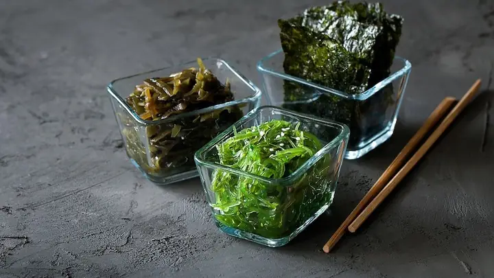 Rong Biển Ăn Chay Được Không? Lợi Ích Và Phân Loại Chi Tiết Rong Biển Ăn Chay Được Không? Lợi Ích Và Phân Loại Chi Tiết