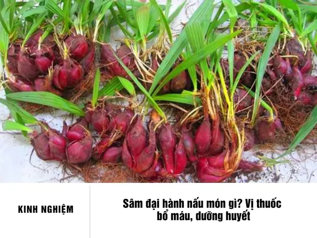 Sâm Đại Hành Nấu Món Gì? 7 Công Thức Ngon Bổ Dưỡng