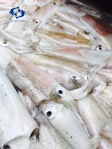 Hướng Dẫn Sơ Chế Mực Ống Nhỏ Chuẩn Nhà Hàng Hướng Dẫn Sơ Chế Mực Ống Nhỏ Chuẩn Nhà Hàng