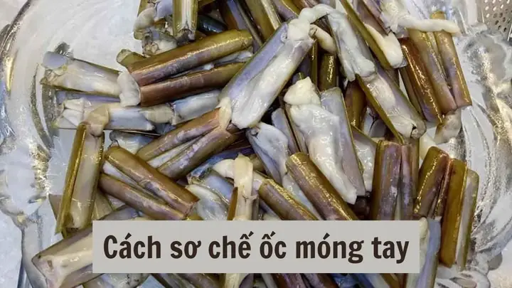 Hướng Dẫn Chi Tiết Cách Sơ Chế Ốc Móng Tay Sạch Cát Tại Nhà Hướng Dẫn Chi Tiết Cách Sơ Chế Ốc Móng Tay Sạch Cát Tại Nhà