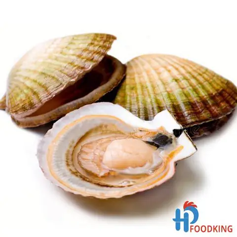 Sò Điệp Là Gì? Từ Vựng Tiếng Anh & Cách Chọn, Nấu Ăn Chuẩn Mực Sò Điệp Là Gì? Từ Vựng Tiếng Anh & Cách Chọn, Nấu Ăn Chuẩn Mực