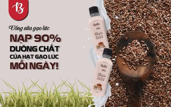 Sữa Gạo Lứt Có Tác Dụng Gì? 10 Lợi Ích Sức Khỏe & Làm Đẹp Sữa Gạo Lứt Có Tác Dụng Gì? 10 Lợi Ích Sức Khỏe & Làm Đẹp