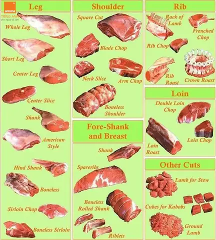 Thịt Chuột Tiếng Anh Là Gì? Tổng Tập Từ Vựng & Bối Cảnh Sử Dụng Thịt Chuột Tiếng Anh Là Gì? Tổng Tập Từ Vựng & Bối Cảnh Sử Dụng