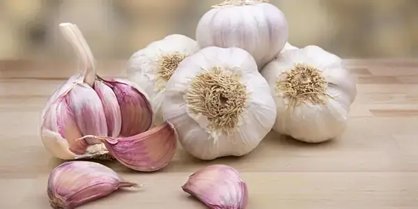 Thịt Gà Xào Tỏi Có Sao Không? Phân Tích Khoa Học & Cách Làm An Toàn Thịt Gà Xào Tỏi Có Sao Không? Phân Tích Khoa Học & Cách Làm An Toàn