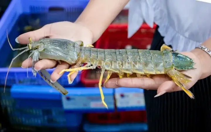 Tôm Tít Và Bề Bề: Đâu Là Lựa Chọn Hoàn Hảo Cho Bữa Ăn Gia Đình? Tôm Tít Và Bề Bề: Đâu Là Lựa Chọn Hoàn Hảo Cho Bữa Ăn Gia Đình?