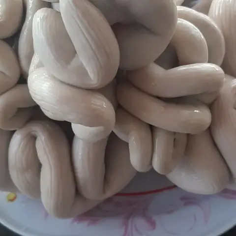 Trễ Lợn Là Bộ Phận Nào? Tổng Quan Và Giải Thích Chi Tiết Trễ Lợn Là Bộ Phận Nào? Tổng Quan Và Giải Thích Chi Tiết