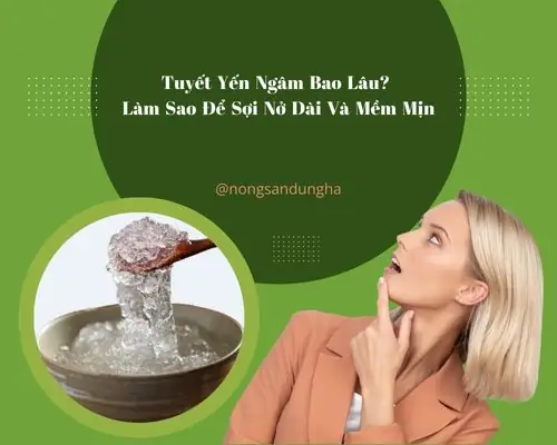 Tuyết Yến Ngâm Bao Lâu? Hướng Dẫn Chi Tiết Để Sợi Nở Dài, Mềm Mịn Tối Ưu Tuyết Yến Ngâm Bao Lâu? Hướng Dẫn Chi Tiết Để Sợi Nở Dài, Mềm Mịn Tối Ưu