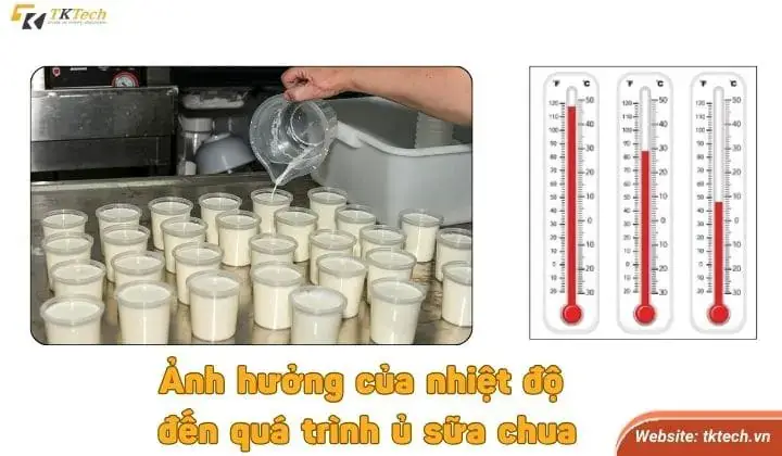 Ủ Sữa Chua Bao Nhiêu Độ? Hướng Dẫn Chi Tiết Từ A-z