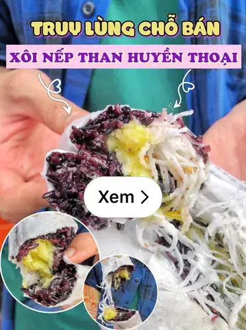 Đánh Giá Chi Tiết 5 Loại Xôi Nếp Than Cô Thúy: Bạn Nên Chọn Loại Nào? Đánh Giá Chi Tiết 5 Loại Xôi Nếp Than Cô Thúy: Bạn Nên Chọn Loại Nào?