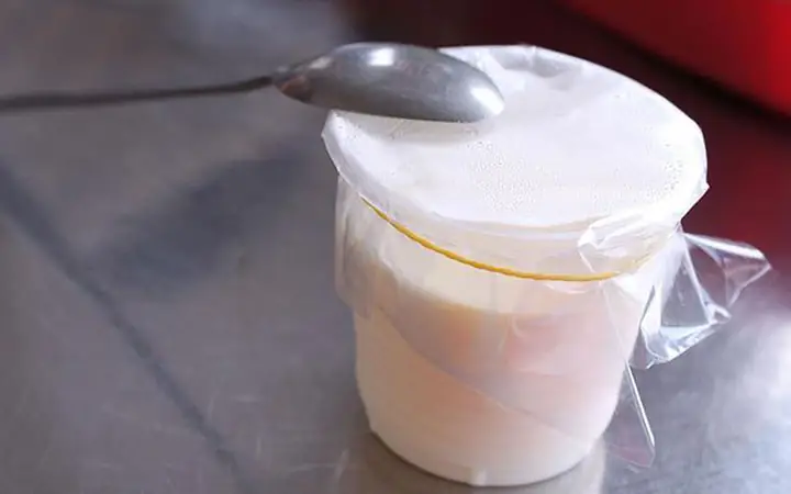 Đánh Giá Chi Tiết Yaourt Phô Mai Tươi Ngọc Nhung: Thương Hiệu Đà Lạt Đã Đóng Cửa Đánh Giá Chi Tiết Yaourt Phô Mai Tươi Ngọc Nhung: Thương Hiệu Đà Lạt Đã Đóng Cửa