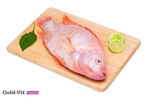 Bà Bầu Ăn Cá Diêu Hồng Được Không? Hướng Dẫn Chi Tiết Từ Chuyên Gia Bà Bầu Ăn Cá Diêu Hồng Được Không? Hướng Dẫn Chi Tiết Từ Chuyên Gia
