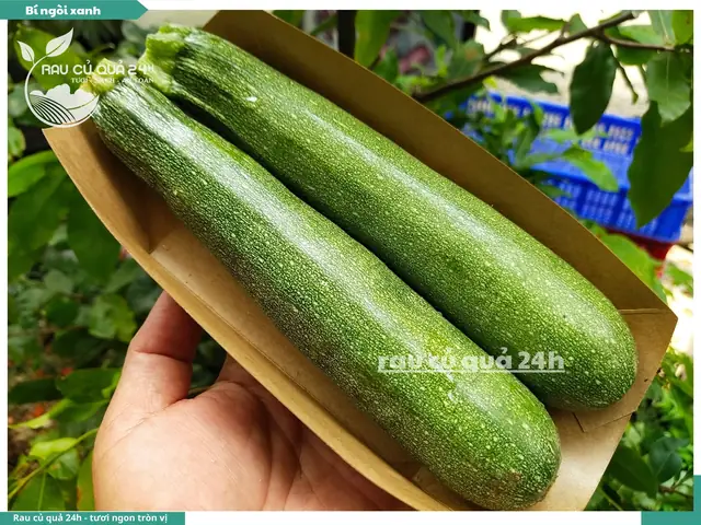 Bí Ngòi Bao Nhiêu Calo? Bí Quyết Ăn Giảm Cân Hiệu Quả Bí Ngòi Bao Nhiêu Calo? Bí Quyết Ăn Giảm Cân Hiệu Quả