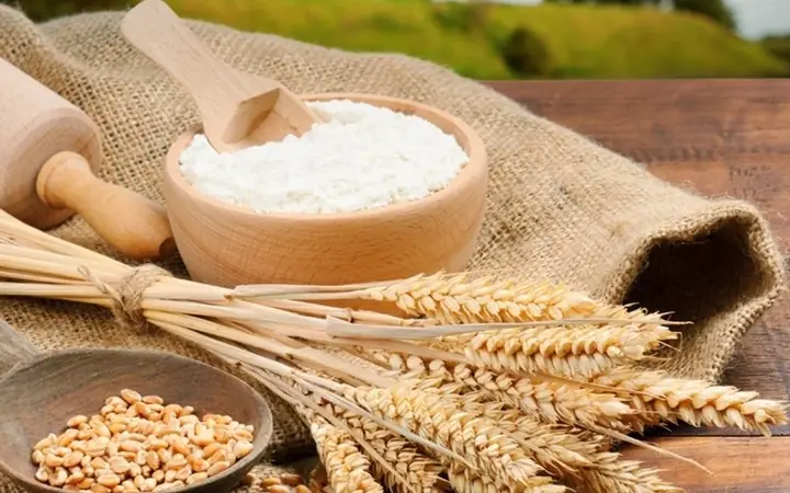 Bột Mì Là Gì? Nguồn Gốc Từ Cây Lúa Mì Và Cách Phân Biệt Với Bột Khoai Mì