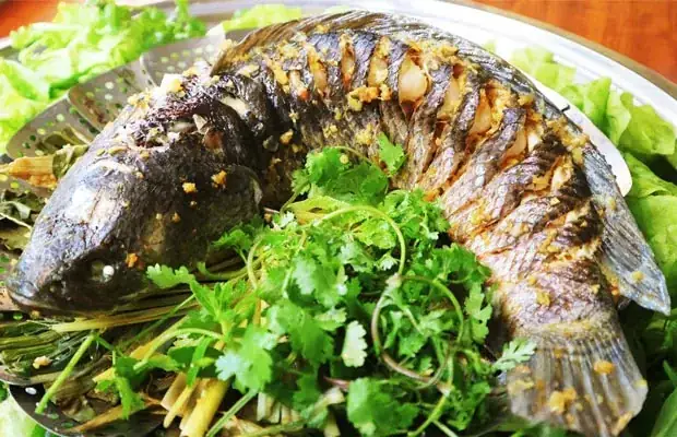 Cá Hấp Bia Bao Lâu? Bảng Thời Gian Chi Tiết & Cách Kiểm Tra Độ Chín Cá Hấp Bia Bao Lâu? Bảng Thời Gian Chi Tiết & Cách Kiểm Tra Độ Chín