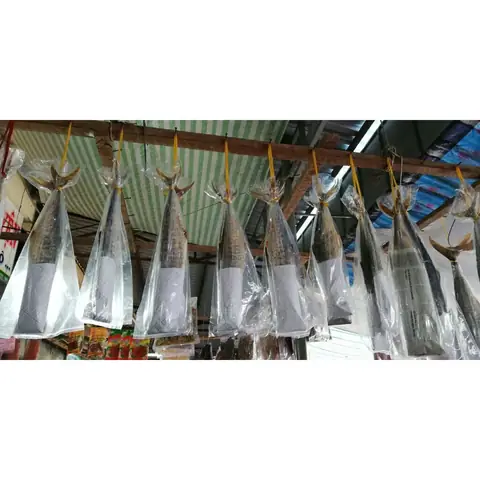 Cá Rún Là Gì? Khám Phá Đặc Sản Ngon, Bổ Dưỡng Từ Biển Miền Tây Cá Rún Là Gì? Khám Phá Đặc Sản Ngon, Bổ Dưỡng Từ Biển Miền Tây