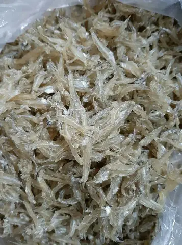 Cá Rún Là Gì? Khám Phá Đặc Sản Ngon, Bổ Dưỡng Từ Biển Miền Tây Cá Rún Là Gì? Khám Phá Đặc Sản Ngon, Bổ Dưỡng Từ Biển Miền Tây