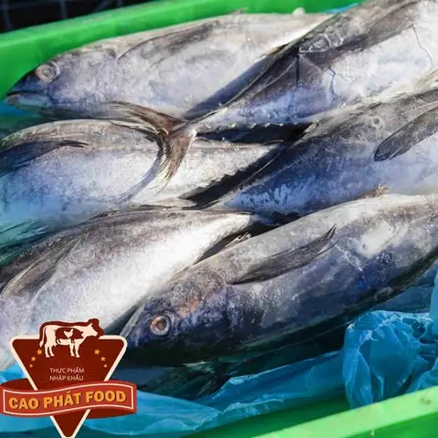 Các Loại Cá Biển Đông Lạnh: Bí Quyết Giữ Trọn Dinh Dưỡng Và Hương Vị Các Loại Cá Biển Đông Lạnh: Bí Quyết Giữ Trọn Dinh Dưỡng Và Hương Vị