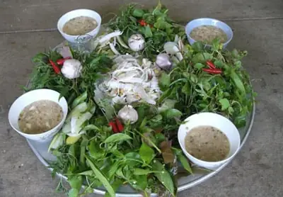 Các Loại Lá Ăn Gỏi Cá Từ Phổ Biến Đến Đặc Sắc Các Loại Lá Ăn Gỏi Cá Từ Phổ Biến Đến Đặc Sắc