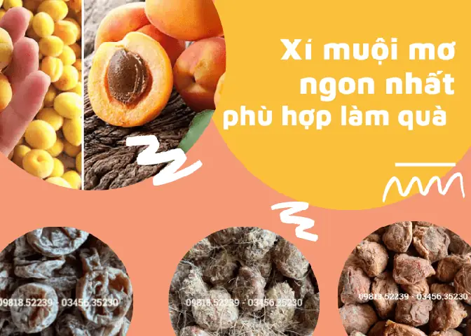 Bí Quyết Chọn Các Loại Ô Mai Xí Muội Ngon Đúng Điệu Cho Tín Đồ Ẩm Thực Bí Quyết Chọn Các Loại Ô Mai Xí Muội Ngon Đúng Điệu Cho Tín Đồ Ẩm Thực