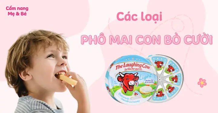 Các Loại Phô Mai Con Bò Cười: Đặc Điểm Và Cách Dùng Tối Ưu Các Loại Phô Mai Con Bò Cười: Đặc Điểm Và Cách Dùng Tối Ưu