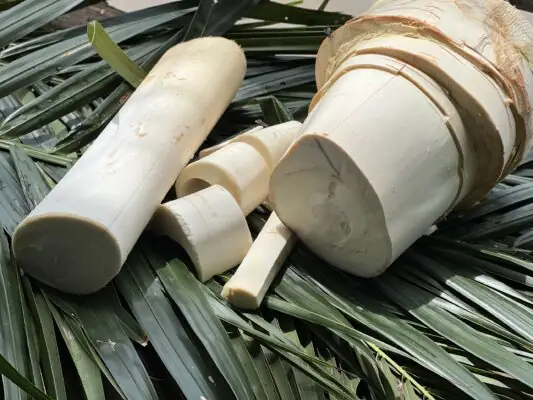 Cách Bảo Quản Củ Hũ Dừa Trắng Nõn, Giòn Ngọt Và Không Bị Thâm