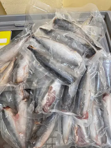 Cách Chế Biến Cá Nục Đông Lạnh Ngon Như Cá Tươi: Hướng Dẫn Toàn Tập Cách Chế Biến Cá Nục Đông Lạnh Ngon Như Cá Tươi: Hướng Dẫn Toàn Tập