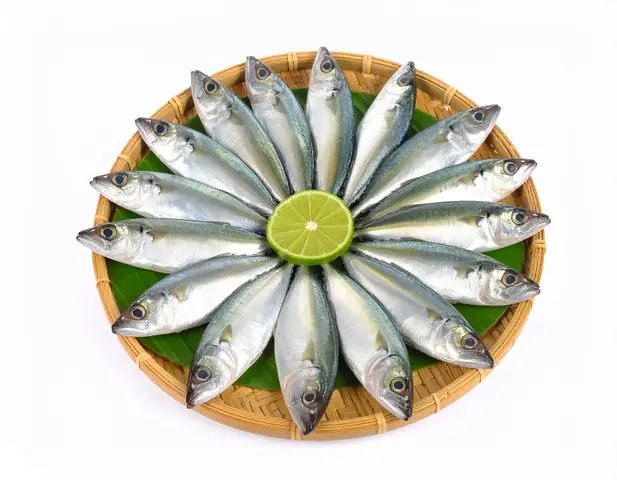 Cách Chế Biến Cá Nục Đông Lạnh Ngon Như Cá Tươi: Hướng Dẫn Toàn Tập Cách Chế Biến Cá Nục Đông Lạnh Ngon Như Cá Tươi: Hướng Dẫn Toàn Tập