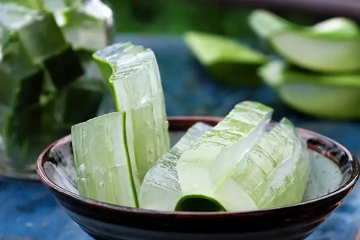 Cách Chế Biến Nha Đam Tươi Để Ăn