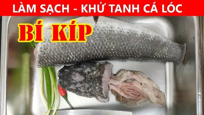 Bí Quyết Cách Làm Cá Nhám Không Tanh Chuẩn Đầu Bếp Chuyên Nghiệp Bí Quyết Cách Làm Cá Nhám Không Tanh Chuẩn Đầu Bếp Chuyên Nghiệp