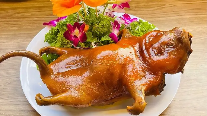 Cách Làm Dúi Hấp Nguyên Con Thơm Ngon Chuẩn Vị Đại Ngàn Cách Làm Dúi Hấp Nguyên Con Thơm Ngon Chuẩn Vị Đại Ngàn
