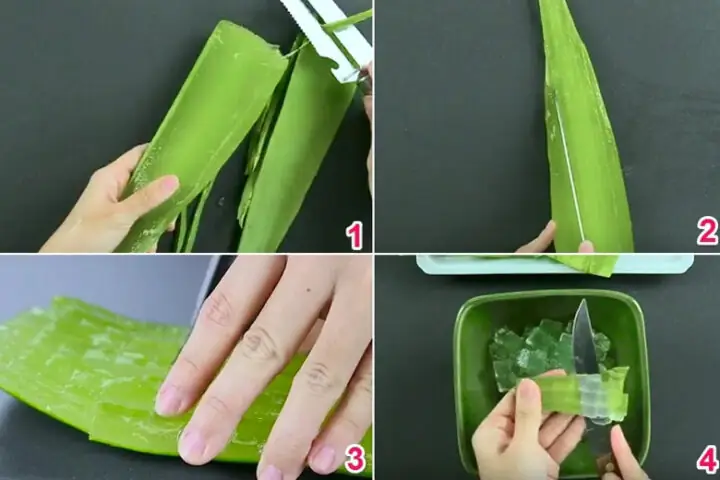 Cách Làm Chè Nha Đam Không Đắng, Giòn Sần Sật Chuẩn Vị Cách Làm Chè Nha Đam Không Đắng, Giòn Sần Sật Chuẩn Vị