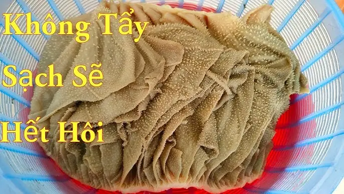 Cách Làm Sạch Lòng Bò Trắng Giòn Và Khử Mùi Hôi Hiệu Quả Nhất