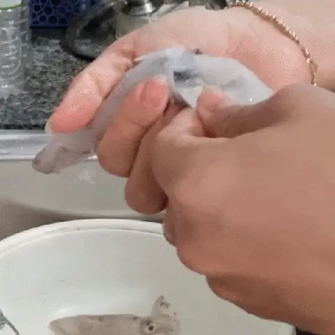 Hướng Dẫn Chi Tiết Cách Làm Sạch Mực Trứng Đúng Chuẩn Hướng Dẫn Chi Tiết Cách Làm Sạch Mực Trứng Đúng Chuẩn