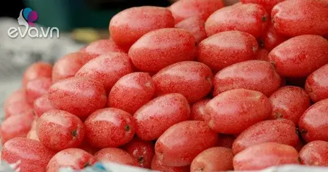 Cách Làm Sạch Phấn Quả Nhót Cách Làm Sạch Phấn Quả Nhót