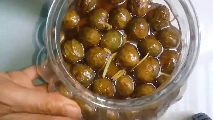 Bí Quyết Cách Làm Sấu Giòn Chua Ngọt Không Nổi Váng Tại Nhà Bí Quyết Cách Làm Sấu Giòn Chua Ngọt Không Nổi Váng Tại Nhà