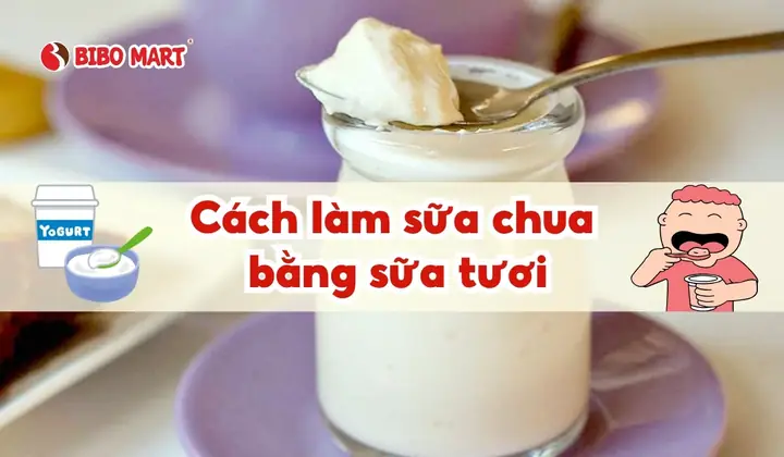 Cách Làm Sữa Chua Bằng Sữa Tươi Tại Nhà Đơn Giản, Thành Công Mẻ Đầu