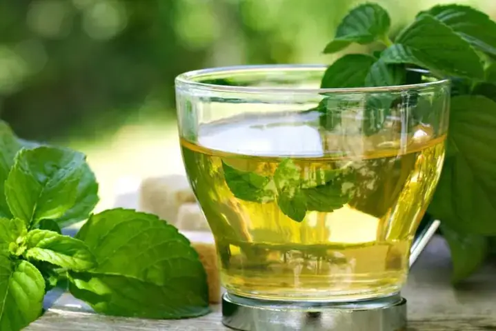 Cách Làm Trà Quất Bạc Hà Thơm Ngon Chuẩn Vị: Hướng Dẫn Chi Tiết Từ A Đến Z Cách Làm Trà Quất Bạc Hà Thơm Ngon Chuẩn Vị: Hướng Dẫn Chi Tiết Từ A Đến Z
