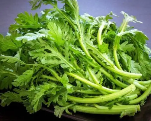 Cách Lặt Rau Cải Cúc Cách Lặt Rau Cải Cúc