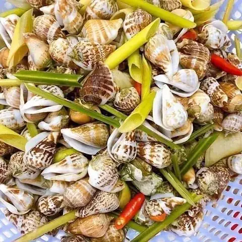 Cách Luộc Ốc Nhảy Ngon, Không Thụt Thịt: Bí Quyết Từ A Đến Z Cách Luộc Ốc Nhảy Ngon, Không Thụt Thịt: Bí Quyết Từ A Đến Z