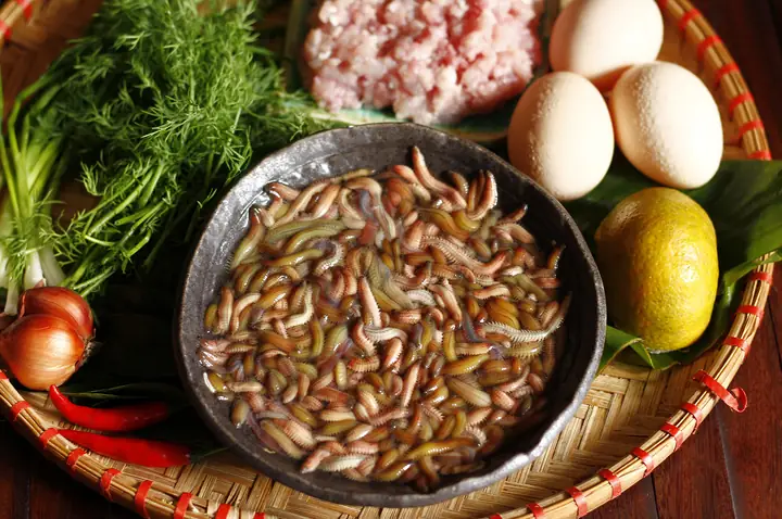 Cách Nấu Chả Rươi Trứng Chuẩn Vị: Hướng Dẫn Từ A Đến Z