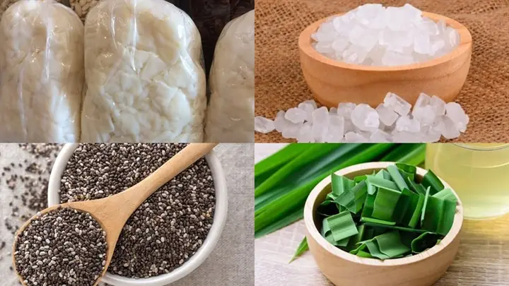Cách Sản Xuất Thạch Dừa Thô Đúng Kỹ Thuật Và Đạt Chuẩn Chất Lượng Cách Sản Xuất Thạch Dừa Thô Đúng Kỹ Thuật Và Đạt Chuẩn Chất Lượng