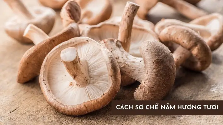 Cách Sơ Chế Nấm Mỡ Cách Sơ Chế Nấm Mỡ