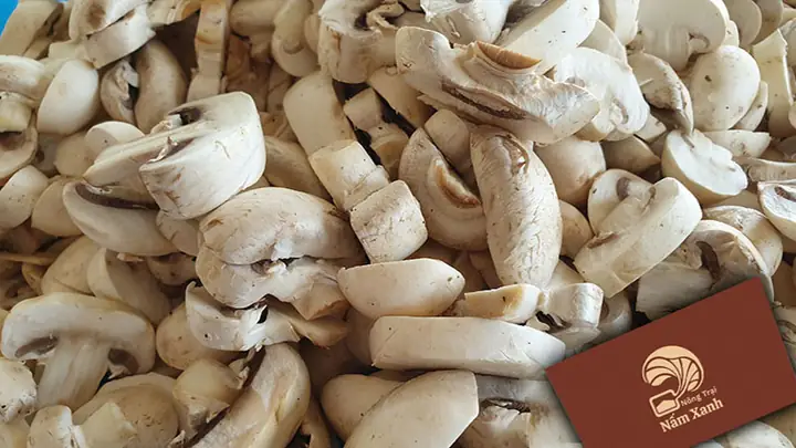Bí Quyết Cách Sơ Chế Nấm Mỡ Trắng Chuẩn 5 Sao Giữ Trọn Dưỡng Chất Bí Quyết Cách Sơ Chế Nấm Mỡ Trắng Chuẩn 5 Sao Giữ Trọn Dưỡng Chất
