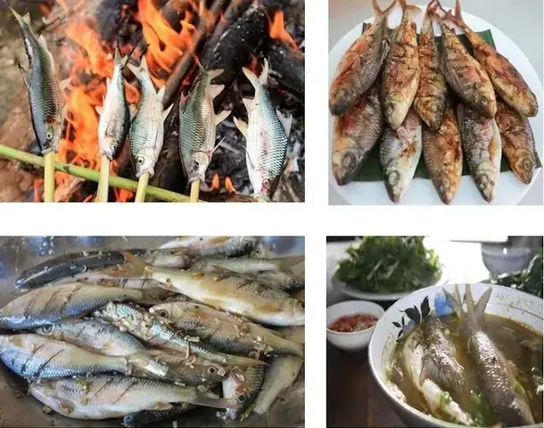 Cá Mát Sông Giăng: Kiến Thức Toàn Diện Về Loài Cá Quý Và Cách Bảo Tồn Cá Mát Sông Giăng: Kiến Thức Toàn Diện Về Loài Cá Quý Và Cách Bảo Tồn