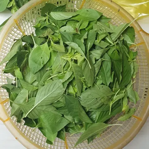 Cây Lá É Nấu Lẩu Gà: Hướng Dẫn Chi Tiết Và Bí Quyết Cây Lá É Nấu Lẩu Gà: Hướng Dẫn Chi Tiết Và Bí Quyết