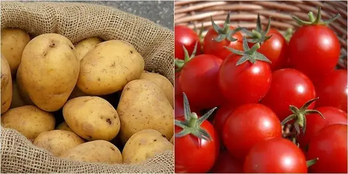 Khoai Tây Và Cà Chua: Kết Hợp Hoàn Hảo Cho Sức Khỏe Và Ẩm Thực