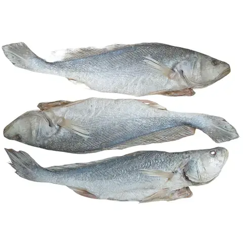 Top 5 Địa Chỉ Cơm Chiên Cá Mặn Giao Tận Nơi Ngon Nhất: Đánh Giá Chi Tiết 2026 Top 5 Địa Chỉ Cơm Chiên Cá Mặn Giao Tận Nơi Ngon Nhất: Đánh Giá Chi Tiết 2026