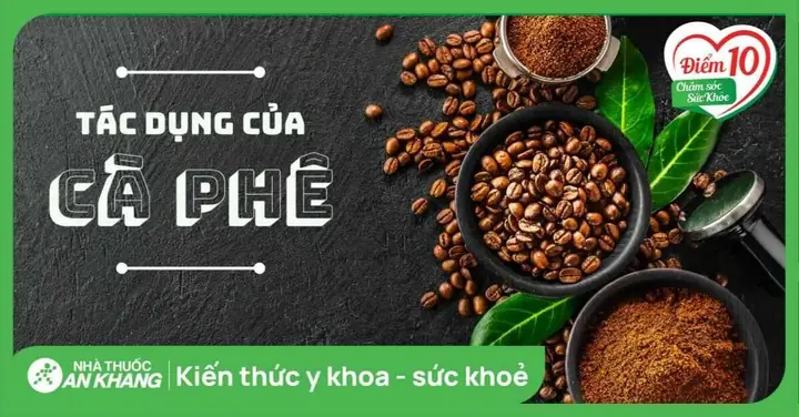 Công Dụng Của Hào Sữa: 20 Lợi Ích Sức Khỏe Không Thể Bỏ Quên