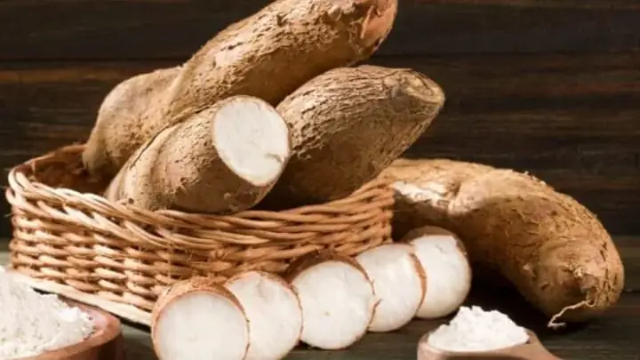 Củ Khoai Mì Kỵ Với Gì? Tổng Hợp Đầy Đủ Và Chi Tiết Nhất Củ Khoai Mì Kỵ Với Gì? Tổng Hợp Đầy Đủ Và Chi Tiết Nhất