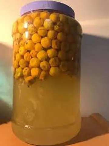 Củ Lạc Tiên Ngâm Đường Phèn